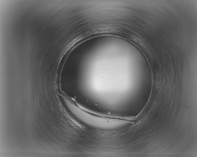 X0000062910786200601271738