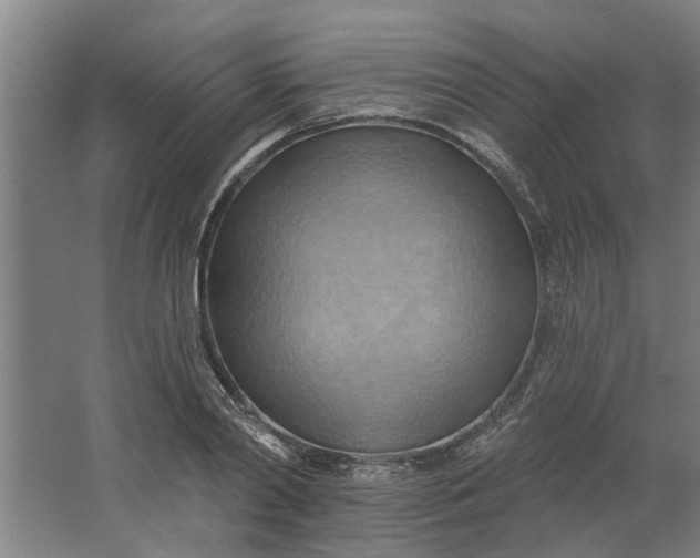 X0000062910790200601271738