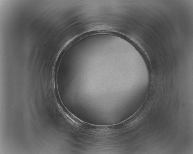 X0000062910791200601271738