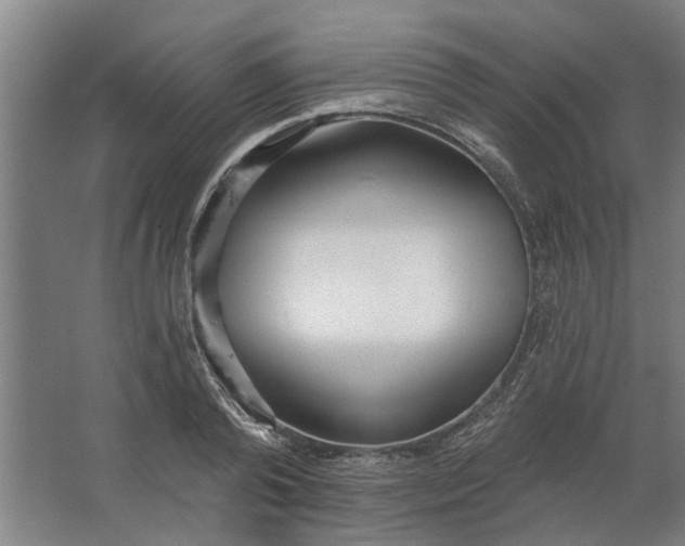 X0000062910792200601271738