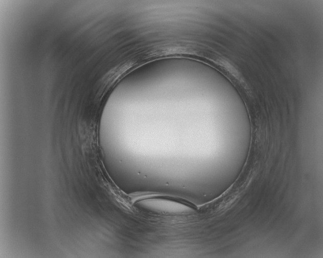 X0000062910793200601271738