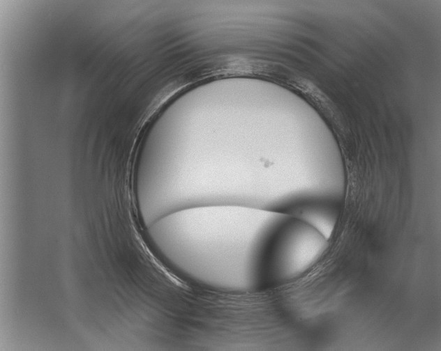 X0000062910794200601271738