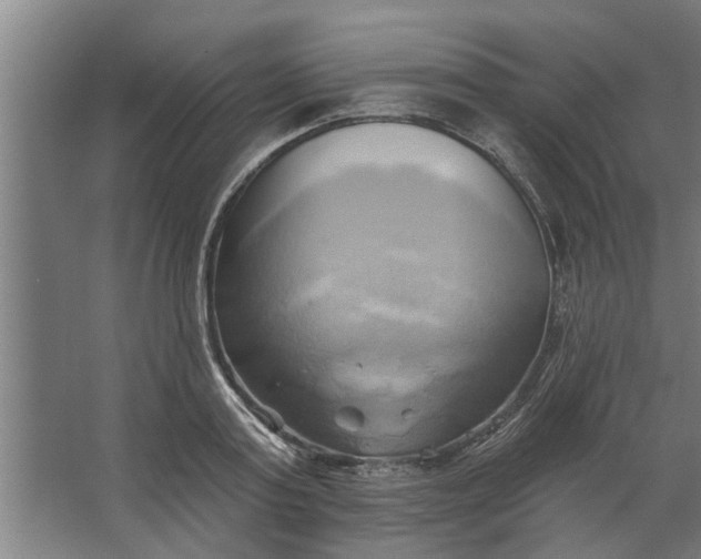 X0000062910795200601271738