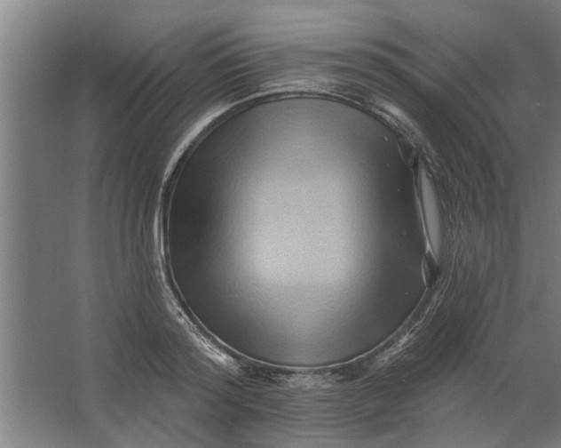 X0000062910796200601271738