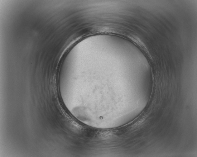 X0000062910798200601271738