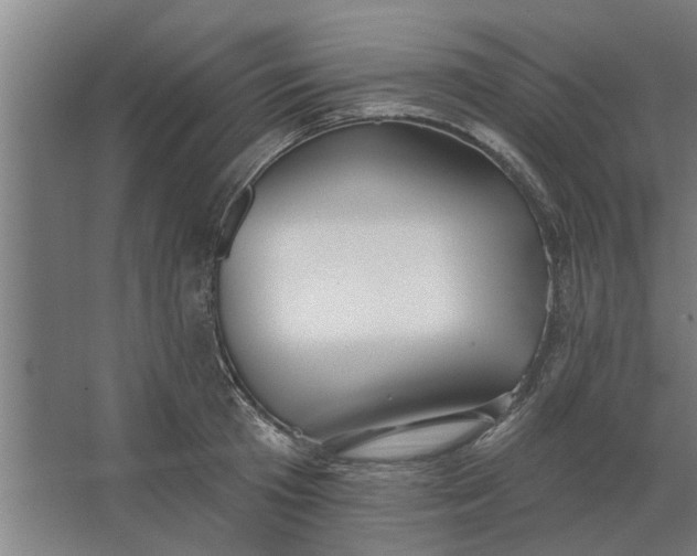 X0000062910801200601271738