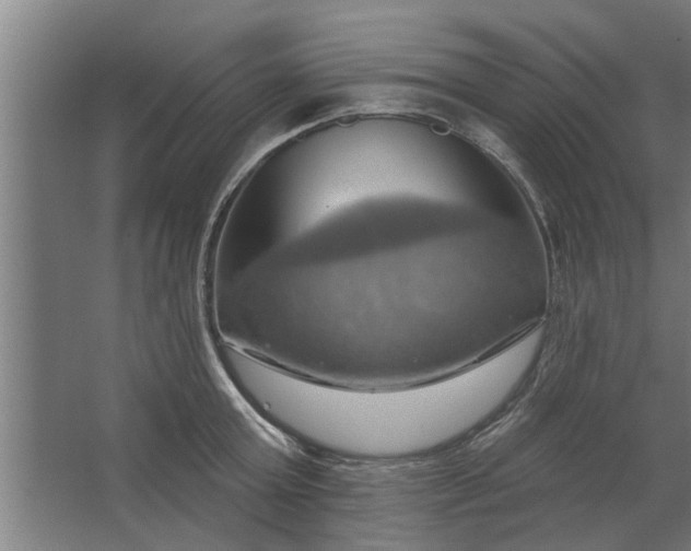 X0000062910803200601271738