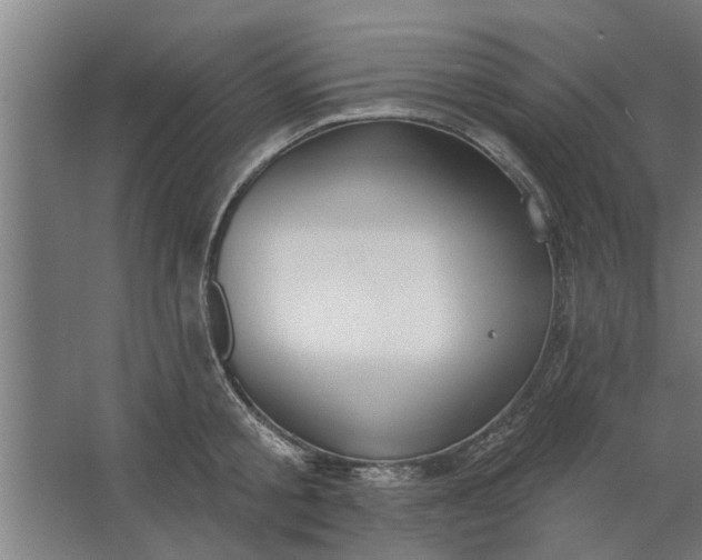 X0000062910805200601271738