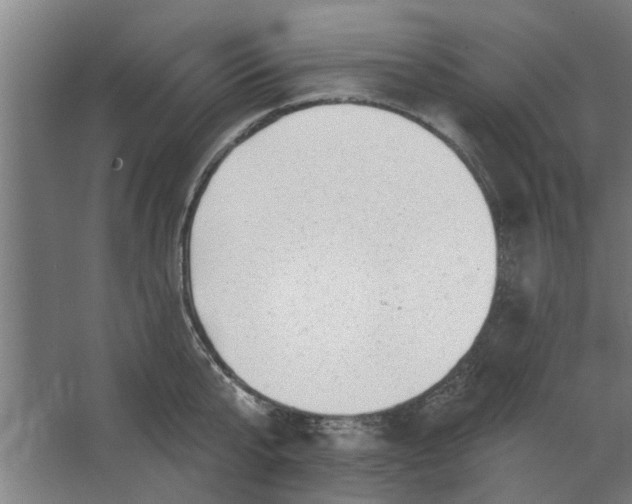 X0000062910807200601271738