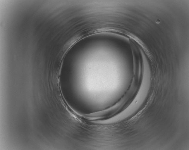 X0000062910809200601271738