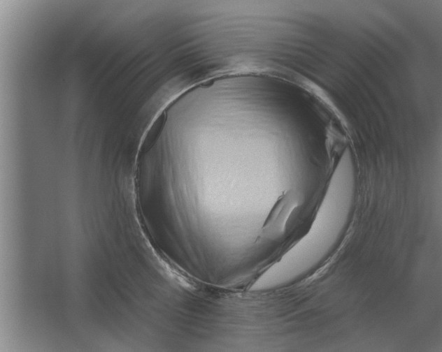 X0000062910810200601271738