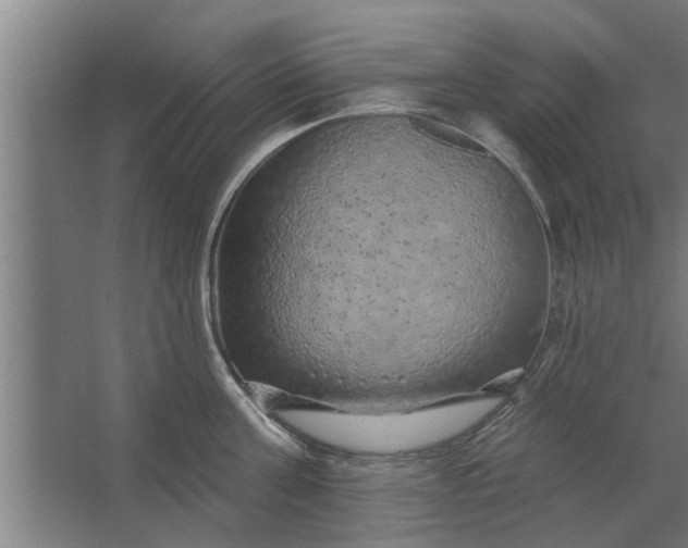 X0000062910811200601271738