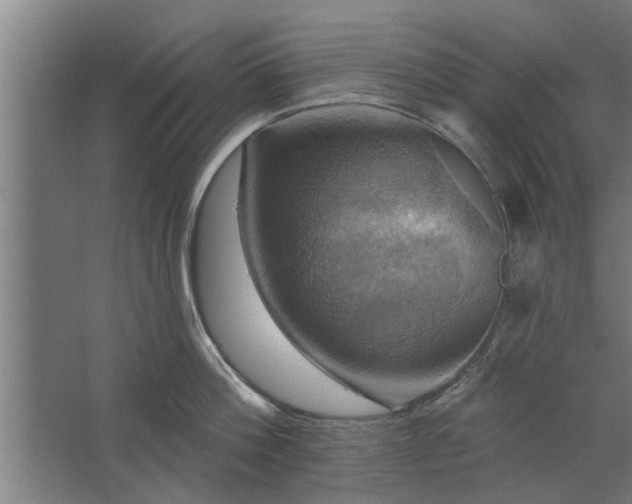 X0000062910812200601271738