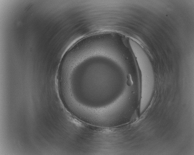 X0000062910814200601271738