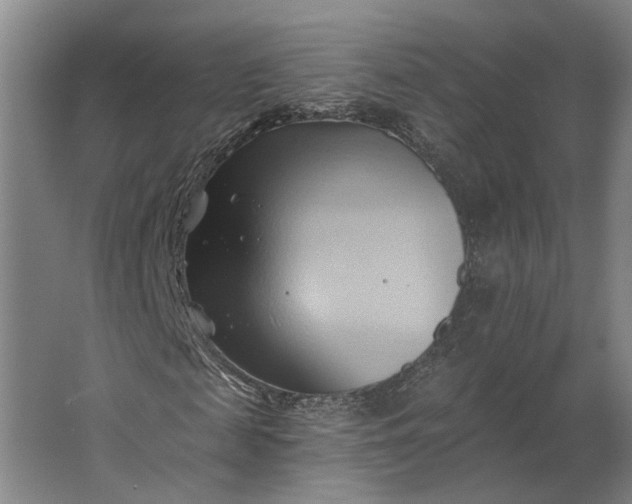 X0000062910817200601271737