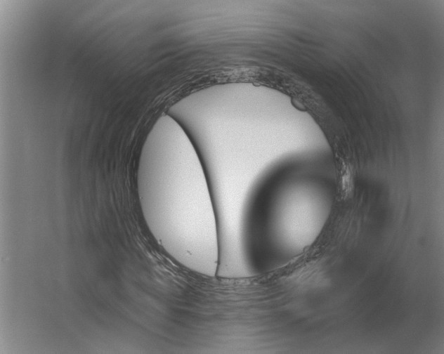 X0000062910819200601271737