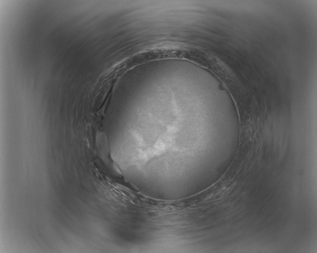 X0000062910821200601271737