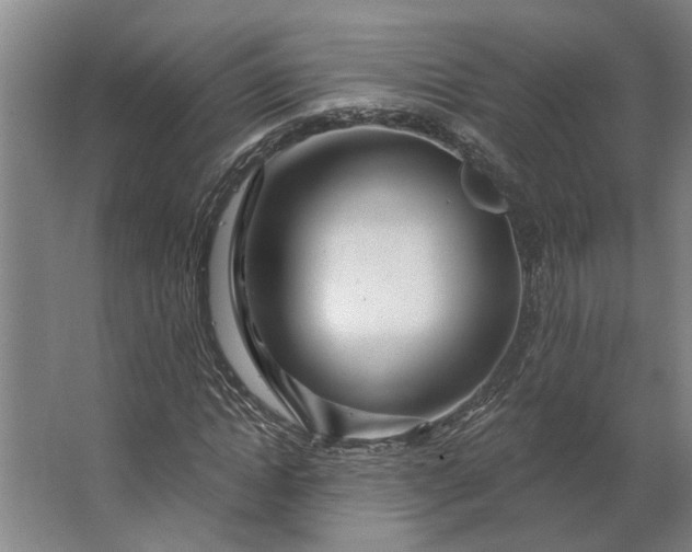 X0000062910822200601271737