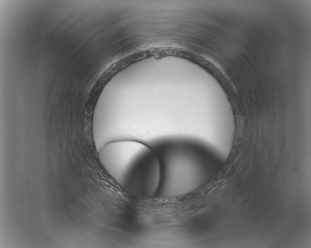 X0000062910823200601271737