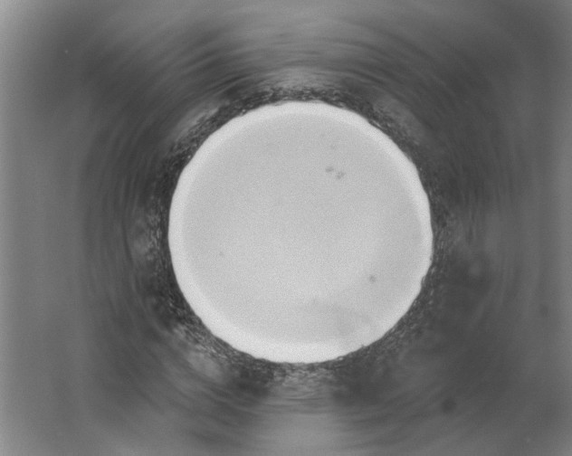 X0000062910824200601271737