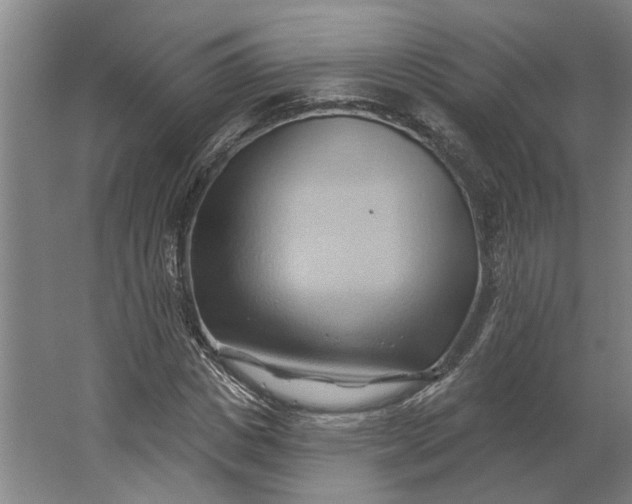 X0000062910825200601271737