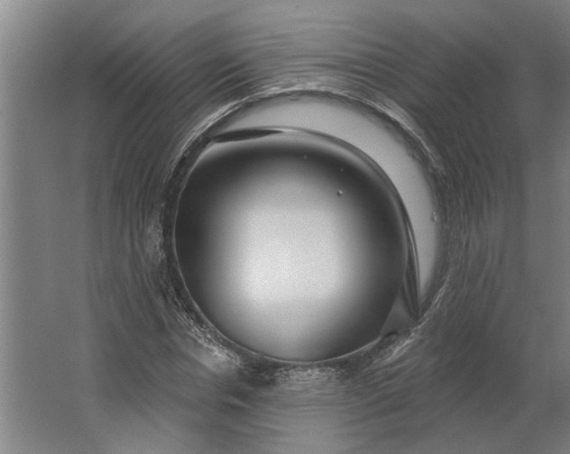 X0000062910826200601271737