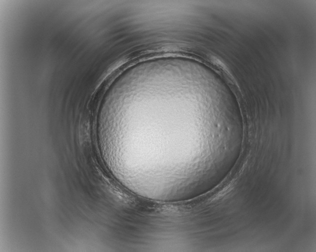 X0000062910827200601271737