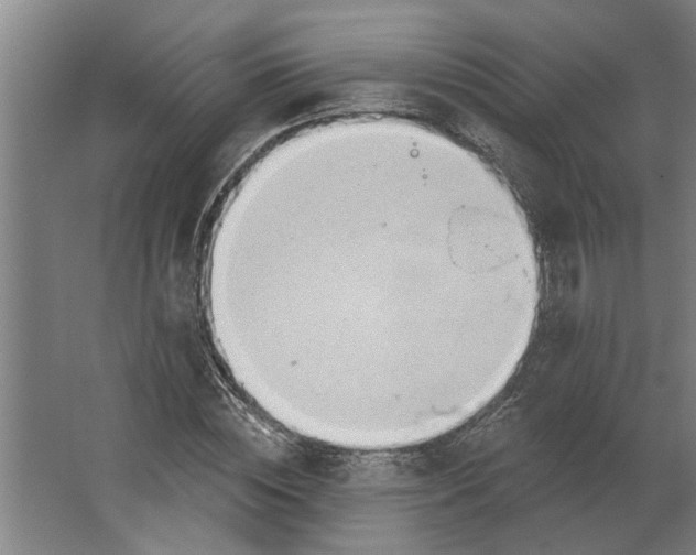 X0000062910828200601271737