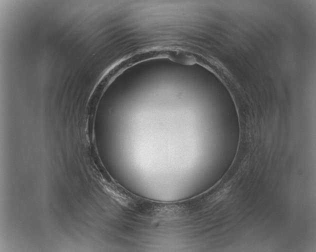 X0000062910830200601271737