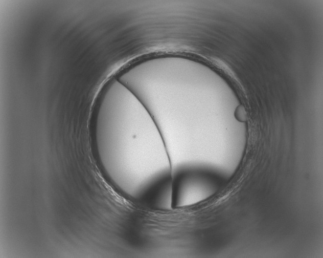 X0000062910831200601271737