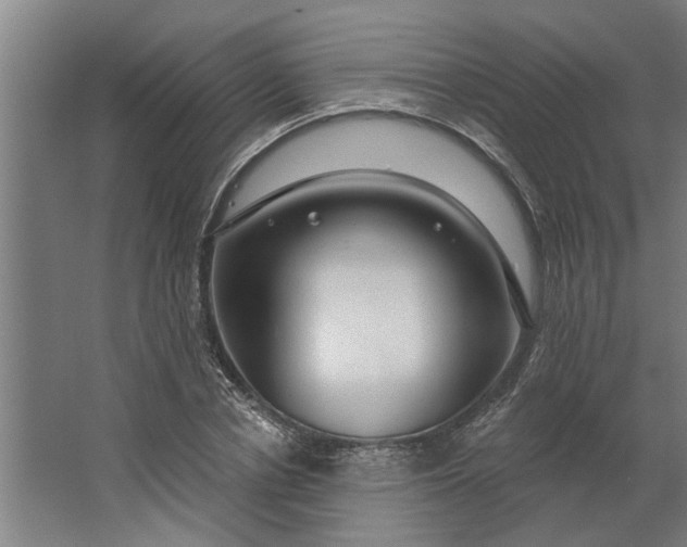 X0000062910834200601271737