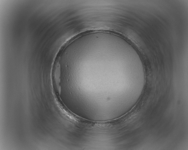 X0000062910840200601271737