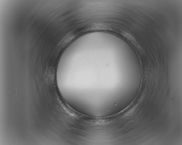 X0000062910841200601271737