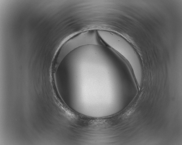 X0000062910846200601271737