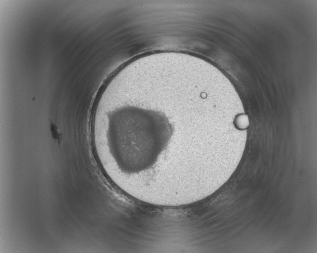 X0000062910848200601271737