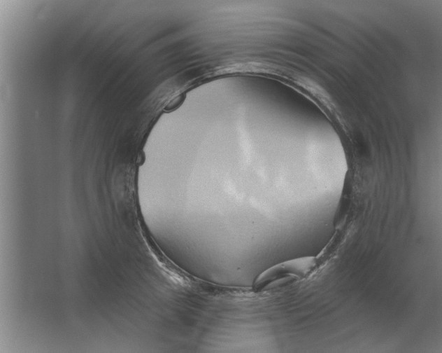 X0000062910849200601271737