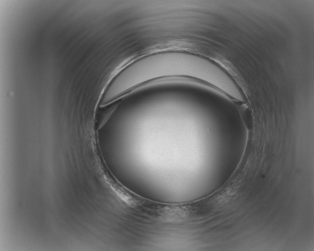 X0000062910850200601271737