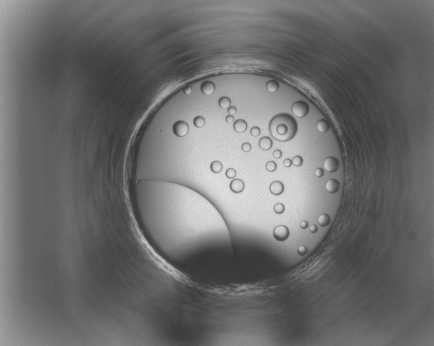 X0000062910851200601271737