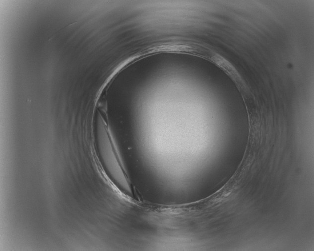 X0000062910852200601271737