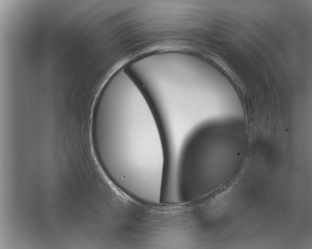 X0000062910853200601271737