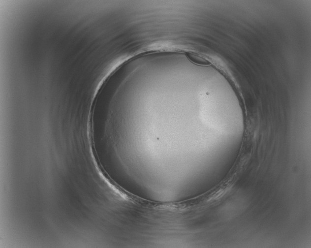 X0000062910855200601271737