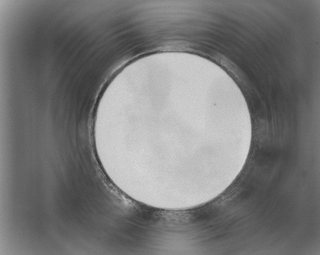 X0000062910856200601271738