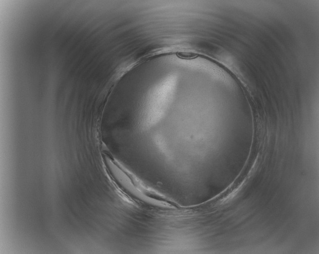 X0000062910857200601271738