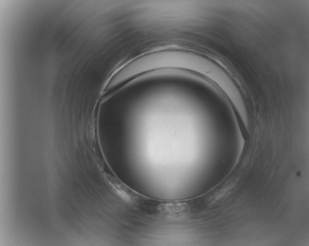 X0000062910858200601271738