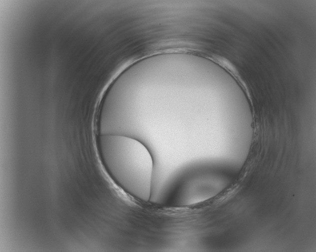 X0000062910859200601271738