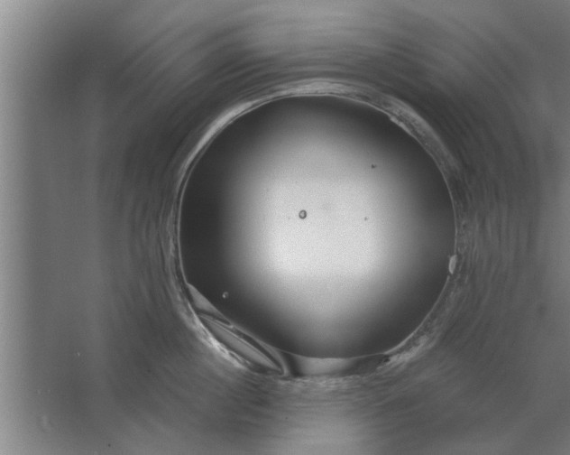 X0000062910860200601271738