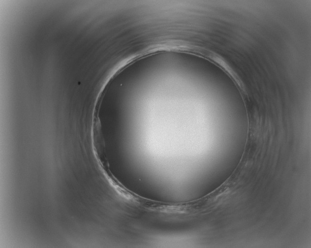 X0000062910861200601271738