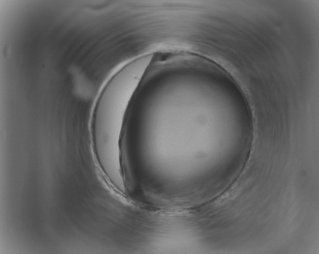 X0000062910864200601271738