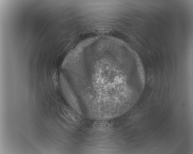 X0000062910866200601271737