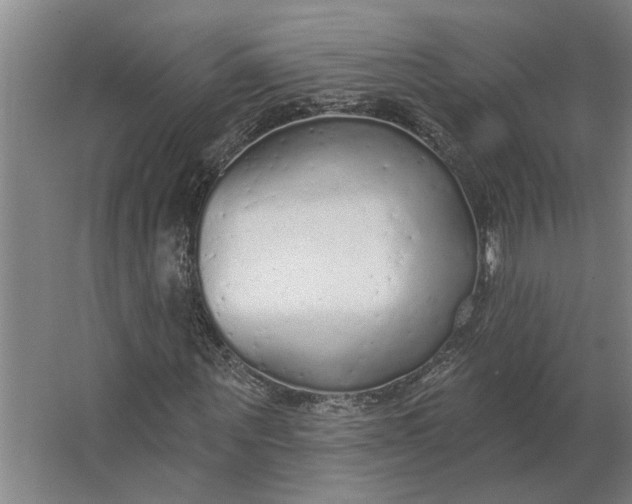 X0000062910867200601271737